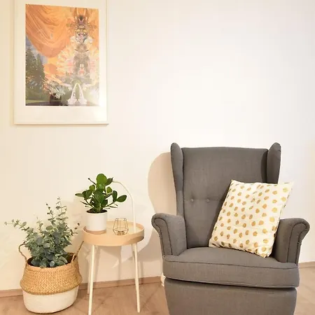 Central Spacious Apartman Innsbruck